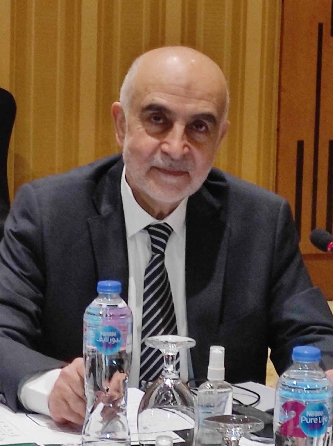 النائب أحمد لاري يؤكد أهمية إيلاء الحالة الاجتماعية في الدول العربية المزيد من التشريعات والتوعية